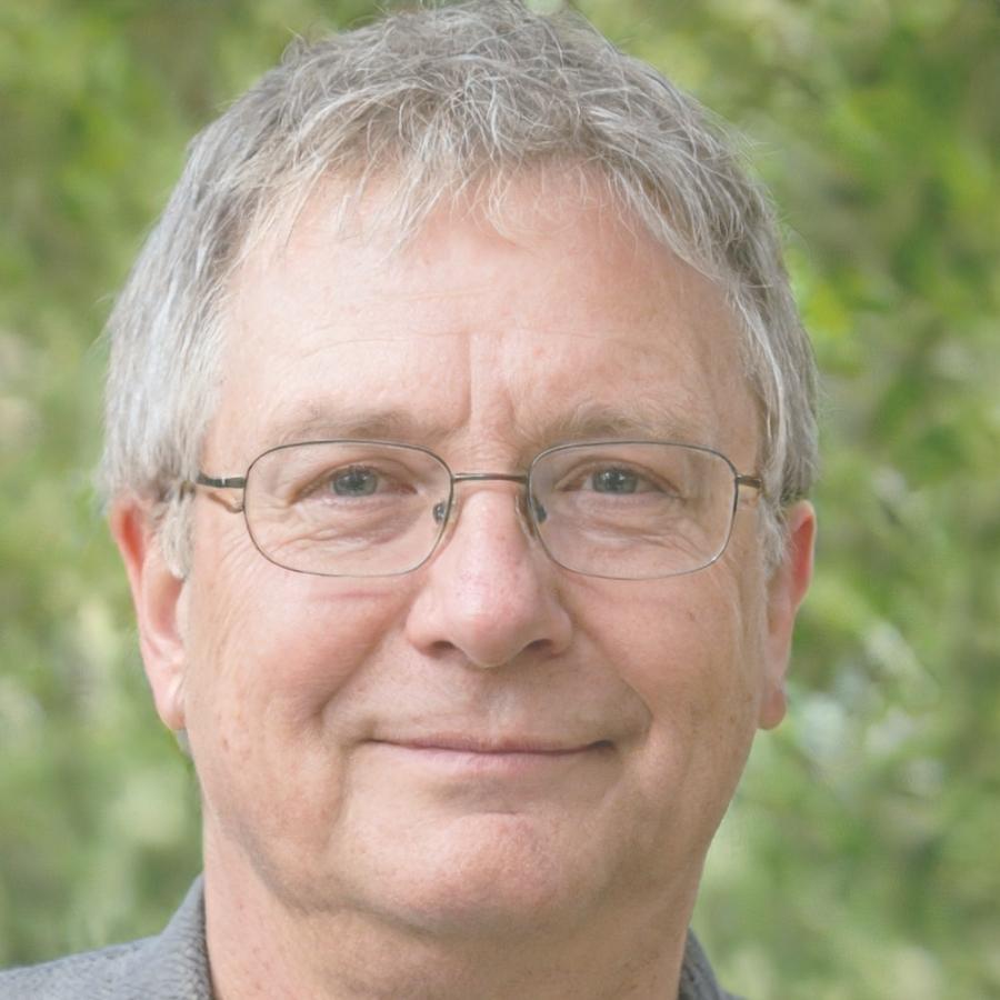 Retrato de Branimir Kovač